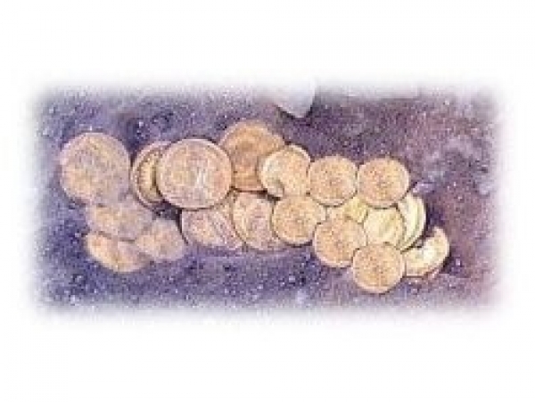 روورسی گنجینه ای از سکه های طلا پیدا کرد